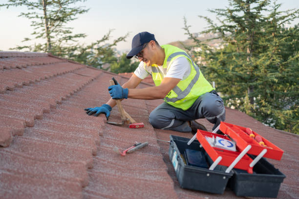 Roof Gutter Cleaning in Fort Clark Springs, TX